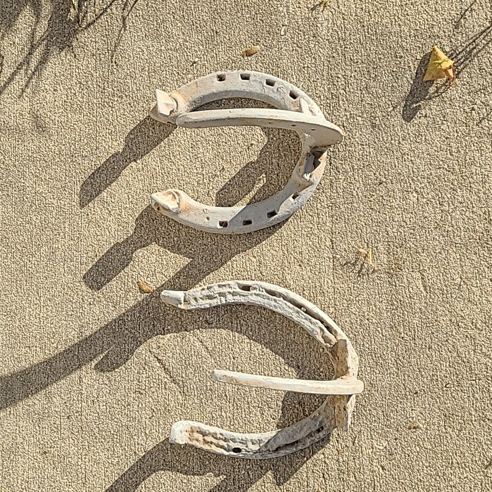 Vintage horseshoe hooks